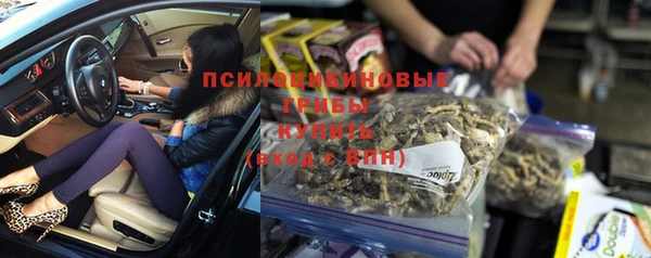 прущие крисы Абинск