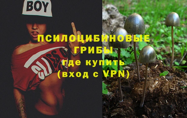 ешки Алексин