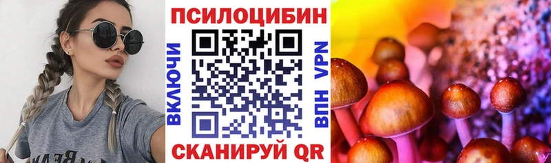 KRAKEN ONION  Мегион  Галлюциногенные грибы MAGIC MUSHROOMS 